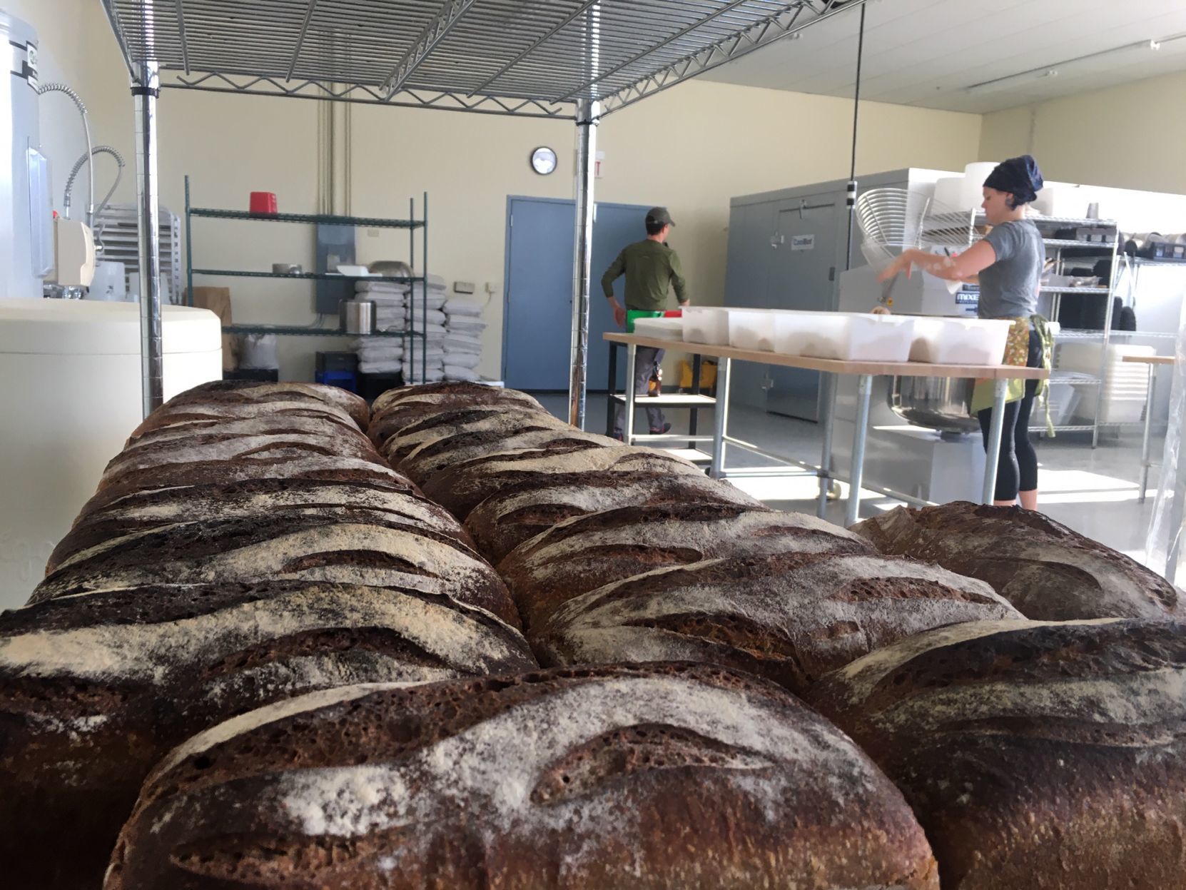 Bread